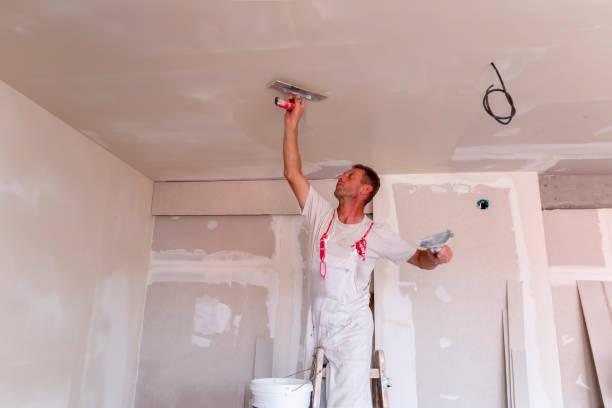 Professional Drywall and Painting Service in Chester, MD